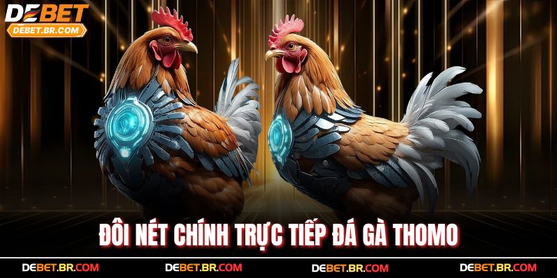 Đôi nét chính trực tiếp đá gà Thomo